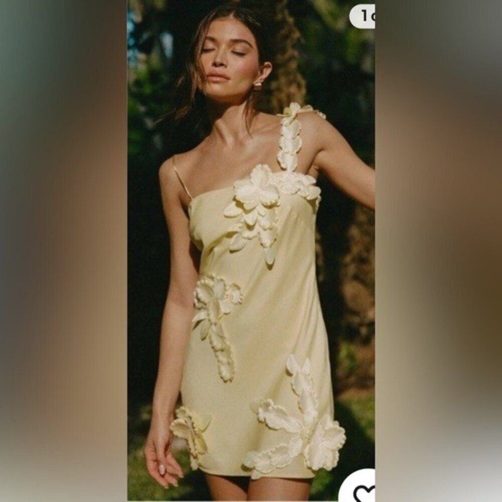 NWT Size S - Hutch 3D Floral Appliqué Linen Blend Dress (NWT US$ 218)
